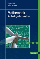 Mathematik für das Ingenieurstudium - Mit 454 durchgerechneten Beispielen und 303 Aufgaben mit ausführlichen Lösungen im Internet
